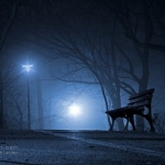 马拉维选出新任总统