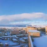 印度限制疫苗出口迫使各国寻找新的供应商