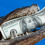 The VC Barbarians Are Coming